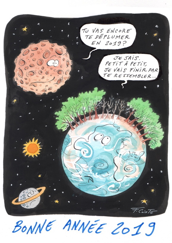 bonne année 2019